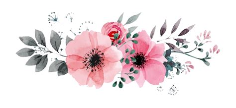 Watercolor Flower PNG Transparent Images - PNG All