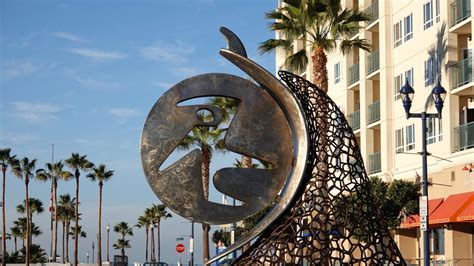 The Top 5 Things to Do in Oceanside, CA | Dr. Henninger