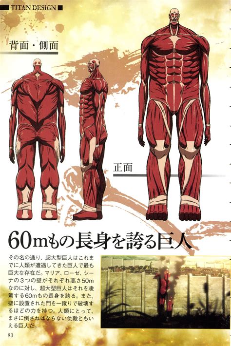Colossal Titan - Attack on Titan - Image #3295118 - Zerochan Anime ...