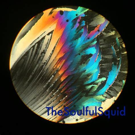 Surreal Feathers Microscope Art Print