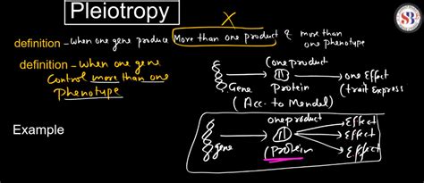 Pleiotropy - Definition, Examples in Humans, Animals