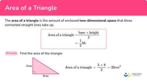 Area of a Triangle - Math Steps, Examples & Questions