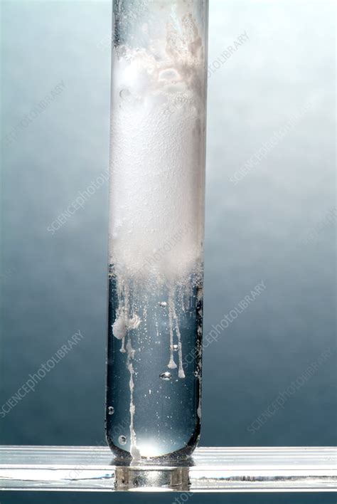 Magnesium carbonate in hydrochloric acid - Stock Image - A500/0601 - Science Photo Library