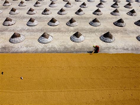 Traditional rice process in Bangladesh | Smithsonian Photo Contest ...