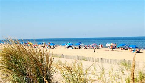 5 Most Beautiful And Best Beaches In Delaware | 99TravelTips