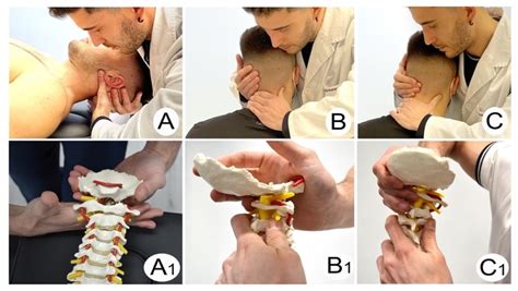 Life | Free Full-Text | Is Cervical Stabilization Exercise Immediately Effective in Patients ...