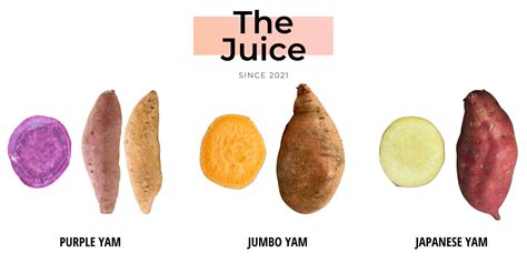 Three Most Common Yam Varieties | Purvey'd