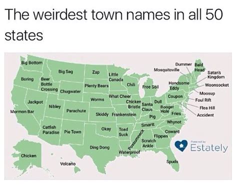 Map Shows the Oddest Town Names in Each State | Weird town names, Town ...