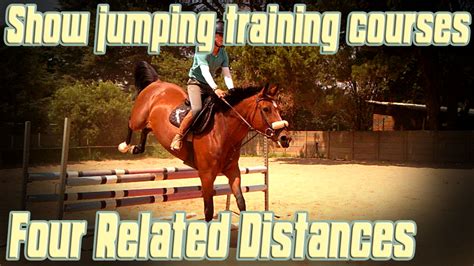 Show jumping training courses that ride beautifully - CLEAR-ROUND