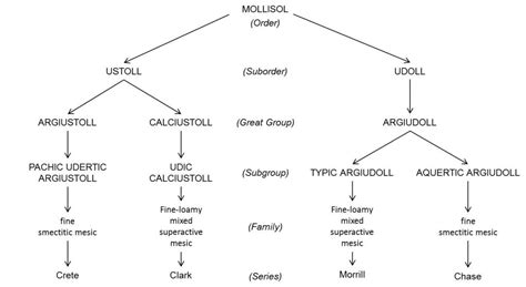 2.2: Soil Classification and Mapping - Geosciences LibreTexts