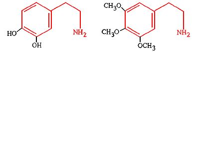 Alkaloid Molecular Structure