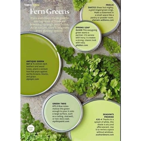 Paint Palette Fern Greens Interiors By Color liked on Polyvore featuring home, home improvement ...