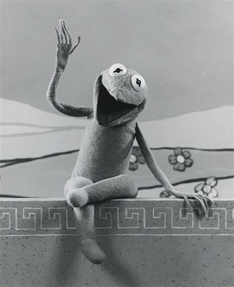 Kermit the Frog Through the Years - Muppet Wiki