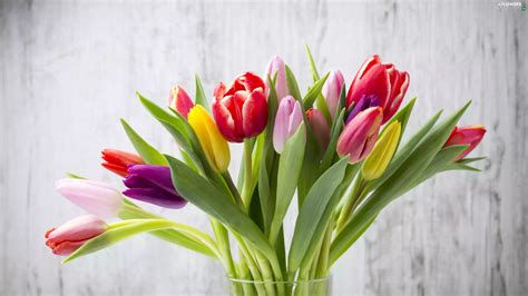 color, bouquet, Vase, Tulips - Flowers wallpapers: 2560x1440