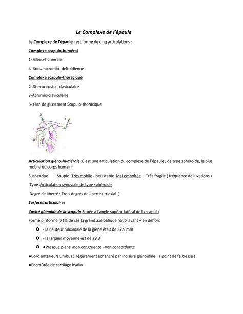 SOLUTION: Anatomy Anatomy Anatomy Anatomy Anatomy Anatomy Anatomy Anatomy Anatomy Anatomy9 ...