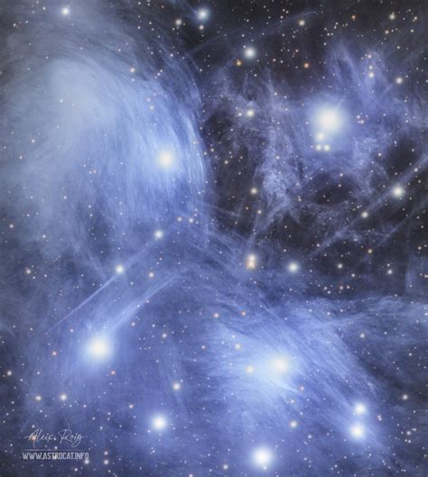 The Pleiades star cluster | Astrocat