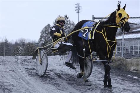 Harness racing season opens at Saratoga Casino & Raceway – Saratogian