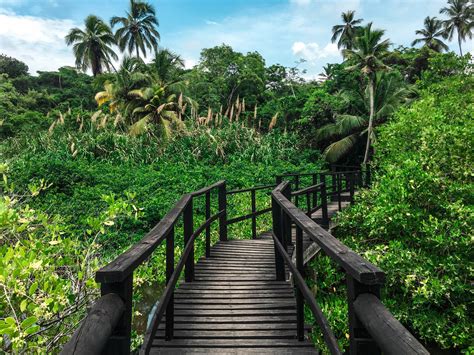 The Ultimate Guide to Tayrona National Park | Colombia | Beyond my Border