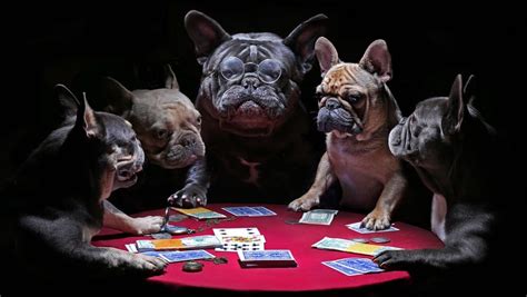 The Story Behind the “Dogs Playing Poker” Painting – BetMGM