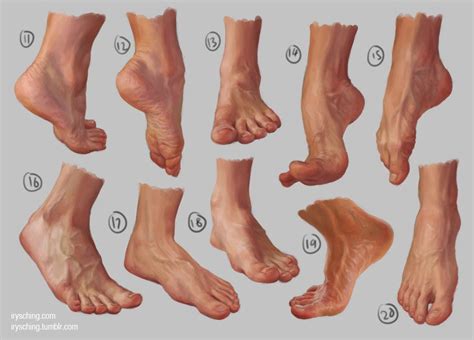 (11) Twitter | Anatomy for artists, Human anatomy drawing, Feet drawing