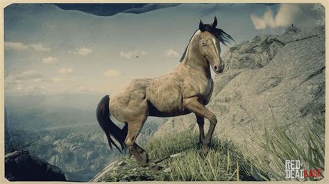 Missouri Fox Trotter | RDR2 Horse Breeds Coats, Locations & Stats