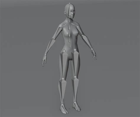 3D model Female Body Base Mesh Animated and Rigged 3D Model VR / AR / low-poly rigged animated ...