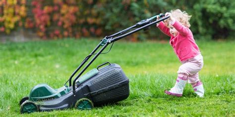 Best Hover Lawn Mower | Southsea Greenhouse