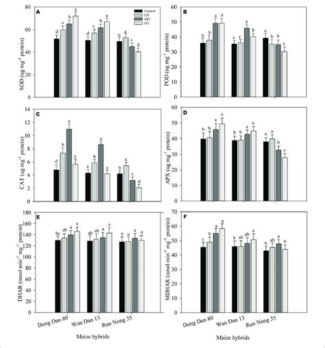 | Influence of different drought stress levels on the activities of (A ...