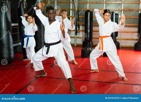 Karate or Taekwondo Training - Athletes in Kimono Stand in Fighting ...