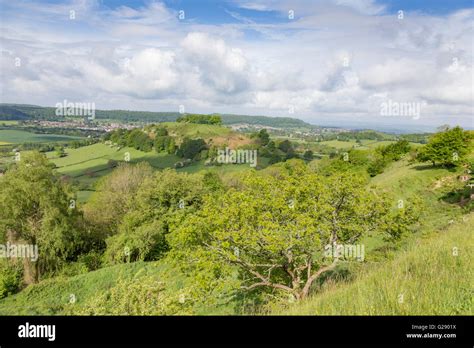 The tree topped Downham Hill in springtime from Uley Bury hillfort near Dursley, Gloucestershire ...