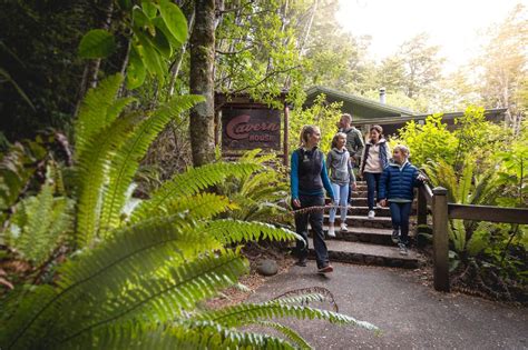 Milford Sound Day Tour + Te Anau Glowworm Caves (2-days) - Te Anau Departure - Luxe Tours ...