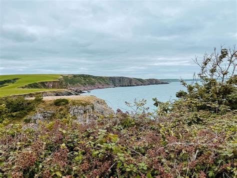 Detailed Guide to the Beautiful Stackpole Wildlife Walk, Pembrokeshire - Travel and Squeak