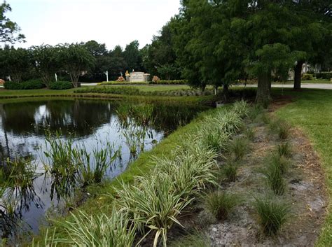 What is Residential Landscape Ecology? - UF/IFAS Extension