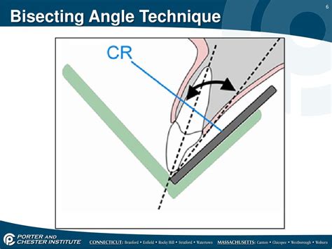 PPT - The Bisecting Technique PowerPoint Presentation, free download - ID:2730021