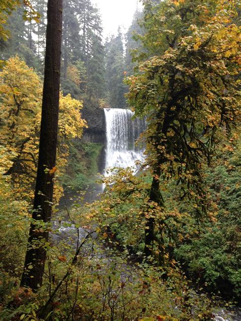 Quilt to the Edge....: Hiking Silver Creek Falls, Oregon