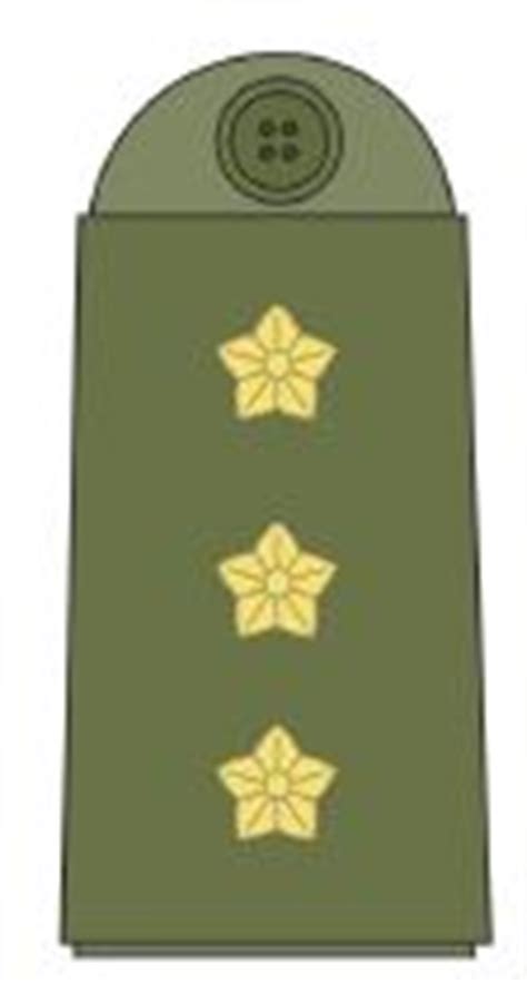 Ranks combat fied uniforms soldiers Danish army Denmark land ground forces technical data sheet ...