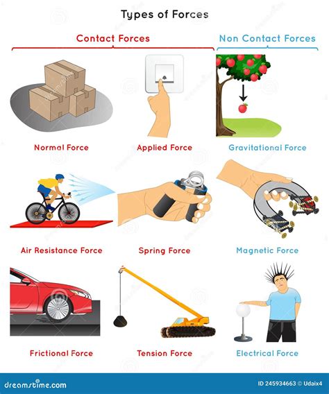 Types of Forces Infographic Diagram Stock Vector - Illustration of ...