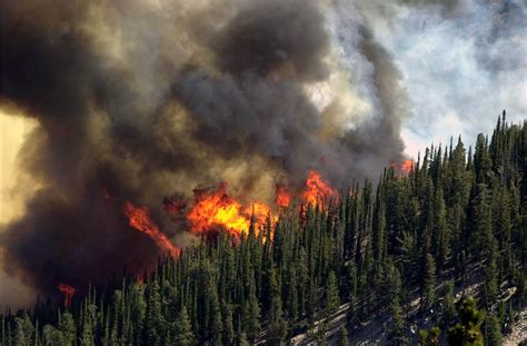 Wildfire_Flames1 | Forest Service Northern Region | Flickr