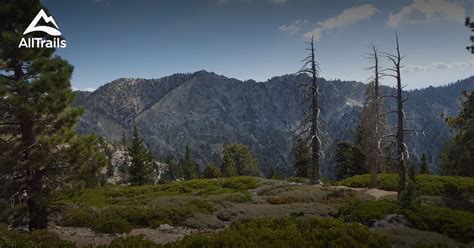 Best Trails in San Bernardino National Forest | AllTrails.com