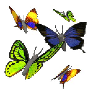 Animated Butterfly Image Collection at Best Animations | Butterfly gif ...