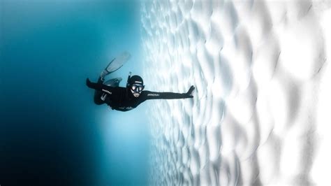 Antarctica Scuba Diving