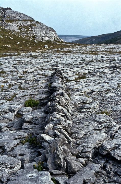 Pin by Rhys Baker on Aspects Of The Landscape | Richard long, Land art, Creative landscape