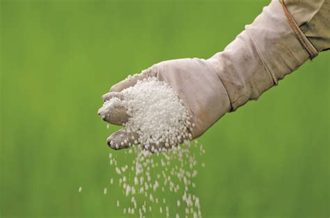 Manitoba farmers credited for using fertilizer efficiently - Manitoba Co-operator