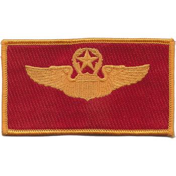 Naval Aviator Pilot Wings Patch Gold | Squadron Patches | Navy Patches ...