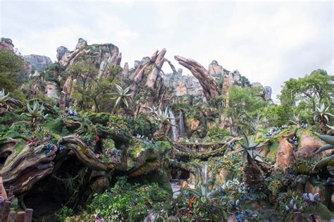 Disney opens Pandora - The World of Avatar at Walt Disney World