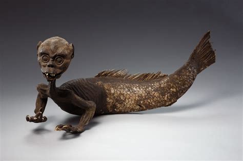 Unmasking the mysterious merman - Horniman Museum and Gardens