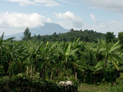 Mount Nyiragongo | Location, Eruptions, History, & Map | Britannica