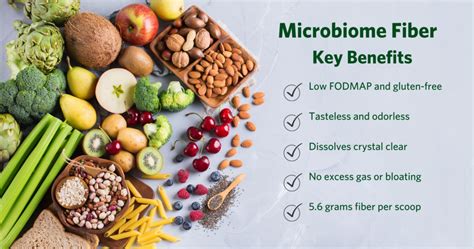 Learn About the Health Benefits of Fiber | Cooper Complete