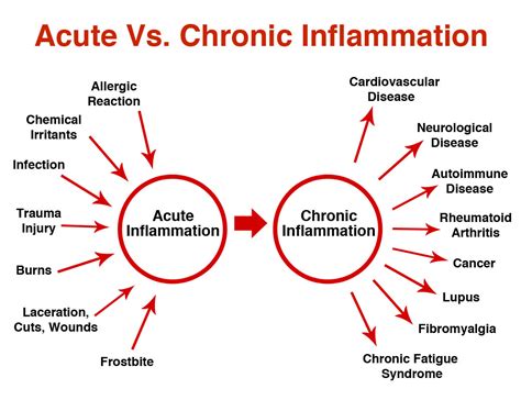 HB Naturals Can Help Your Chronic Inflammation The Silent Killer