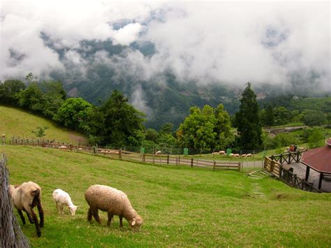 Wonderstruck; Wanderlust : Travelogue - Taiwan, Day 9 (CingJing Farm)